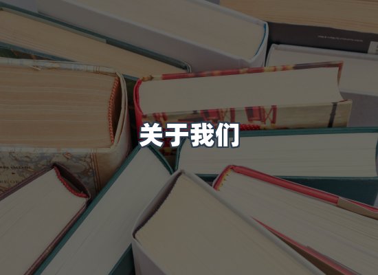 专业团队